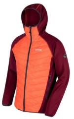 Regatta Softshelljacke Regatta Herren Softshell Jacke Andreson orange