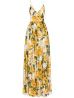 Dolce & Gabbana Maxikleid mit Rosen-Print - Gelb