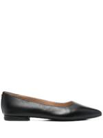 Lauren Ralph Lauren Ballerinas mit spitzer Kappe - Schwarz