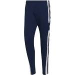 ADIDAS Herren Sporthose Squadra 21