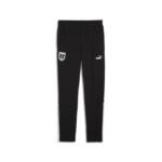 PUMA Sporthose Österreich FtblArchive Jogginghose Herren