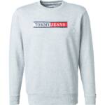 TOMMY JEANS Herren Sweatshirt grau Baumwolle Logo und Motiv