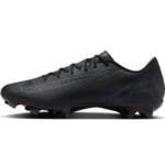 Nike Nike Zoom Vapor 16 Academy FG/MG Fußballschuh