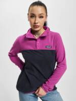 Patagonia Micro Snap Fleece Pullover