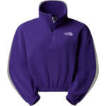 The North Face Damen 100 Glacier Half Zip Fleece Pullover