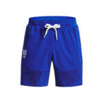 Under Armour Print Woven Shorts Herren in blau