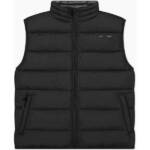 CHAMPION Herren Jacke Vest