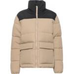 CHAMPION Legacy Steppjacke Damen