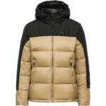 CHAMPION Legacy Steppjacke Herren