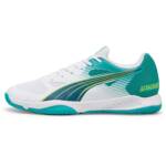 PUMA Attacourt Hallenschuhe Herren