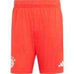 adidas FC Bayern München Shorts Herren