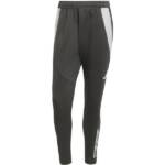 ADIDAS Herren Sporthose Tiro 24 Competition Winterized