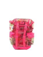 Gucci Pre-Owned 2016-2023 Flora Techpack Rucksack - Rosa