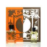 HERMÈS Duft-Set Hermès Terre D'Hermès Set - Eau de Toilette 50 ml + Showergel 40 ml