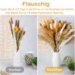 Trockenblume Pampasgras Trockenblumen Deko, 100 Stück Pampasgras Getrocknet Trockenblumen natürlicher Blumenstrauß, ibettertec, Flauschige Getrocknete Blumen für Hochzeit Boho Deko Wohnzimmer